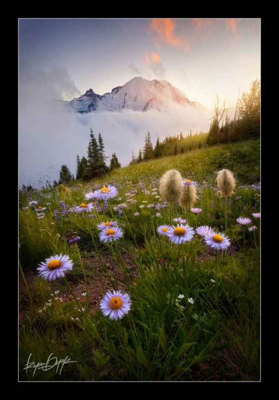 a valley between.jpg